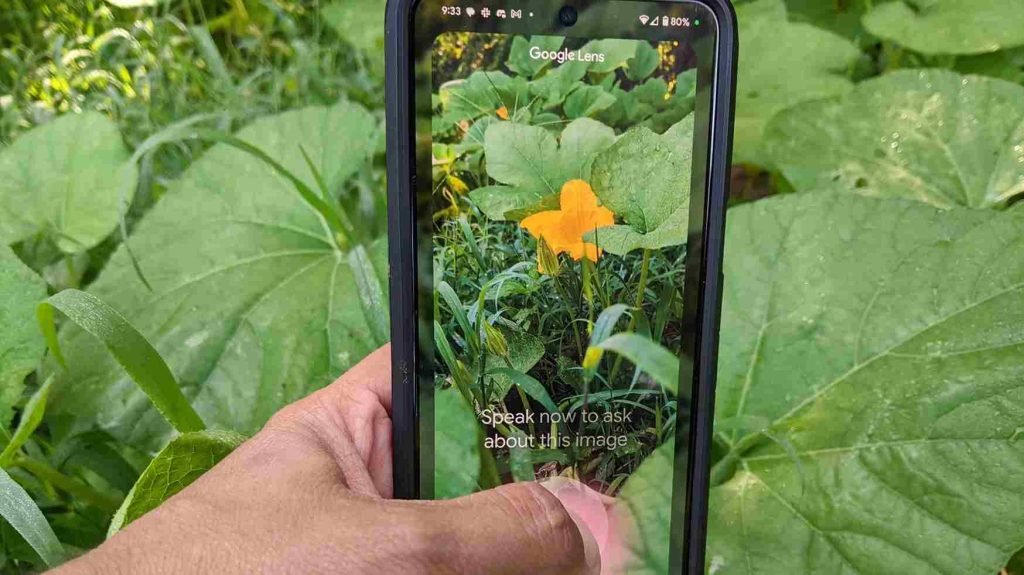 Primeros pasos con Google Lens para grabar videos con voz