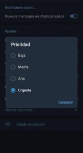 Función de TG numero 3. Personaliza tus notificaciones. Configuracion de Prioridad (bajo, medio, alto,...)